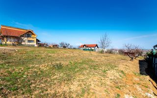 Teren intravilan Paleu - Poză 1