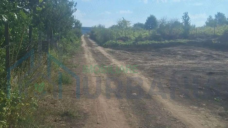 Teren de vânzare în Tomești, județul Iași - Poză 2