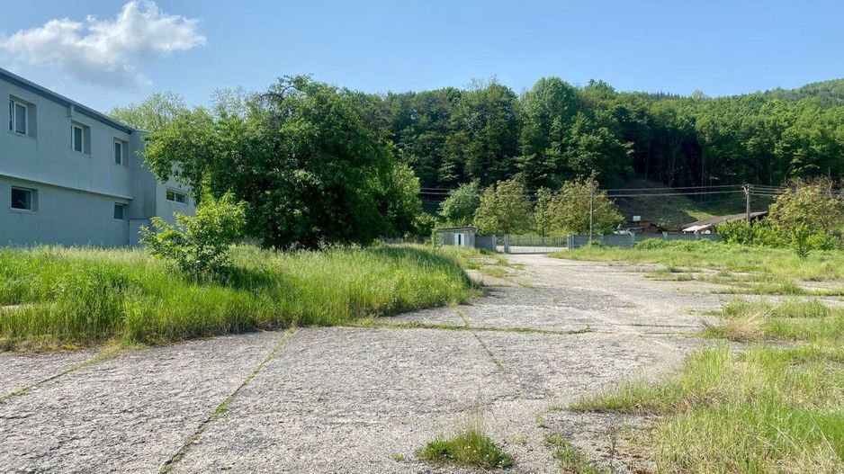 Hala de inchiriat in mun. Brad, disponibila imediat - Poză 3