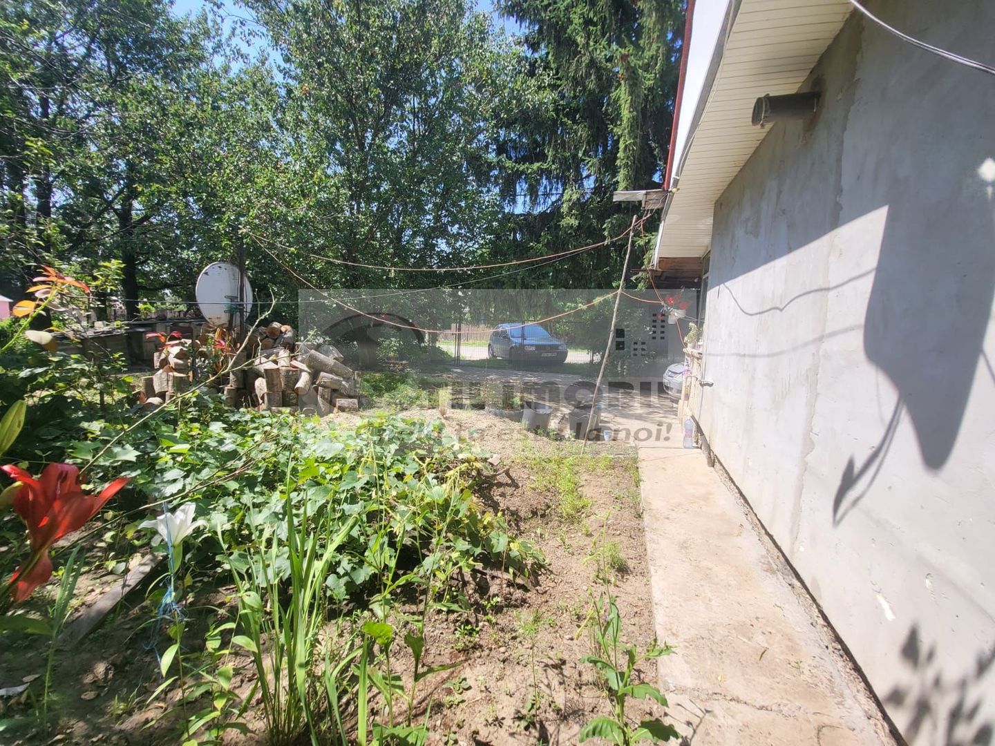 Casă individuala 4000mp teren com Alexandru Ioan Cuza sat Kogalniceni - Poză 22