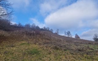 Teren intravilan | Livezile - Poză 5