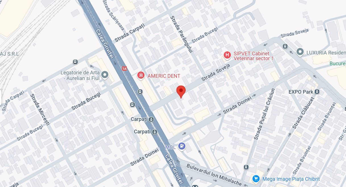 Teren intravilan 800 mp | Domenii- Chibrit | Oportunitate investitie - Poză 1