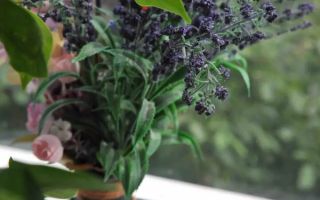 De Inchiriat Apartament 2 Camere AFI - Drumul Taberei - Poză 5