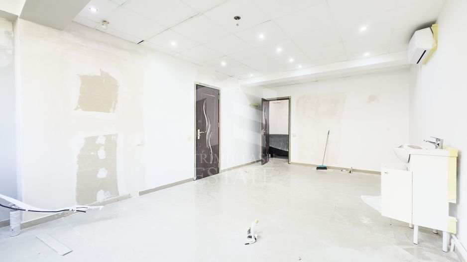 PETRE ISPIRESCU | 13 SEPTEMBRIE | CALEA RAHOVEI | VAD EXCEPTIONAL - Poză 16