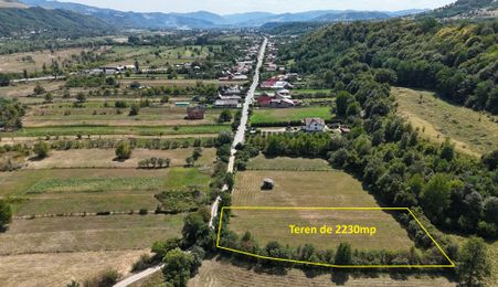 Teren superb de Vanzare in Darmanesti, Bacau