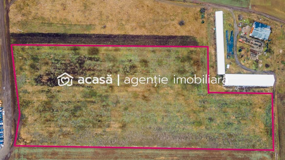 Teren 3.65h zonă industrială, Sânicolaul Mic. - Poză 6