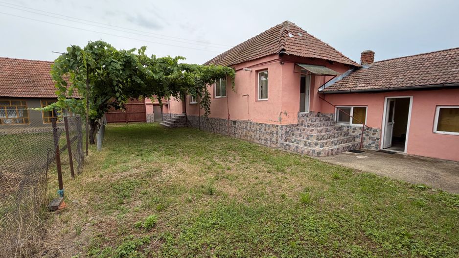 Casa de vanzare 255mp utili, 1974mp teren - Balomir - Poză 1