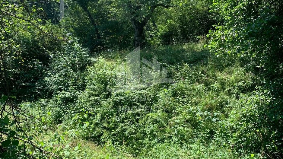 Teren in zona turistica Porumbacu de Sus - Poză 6