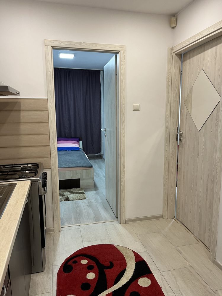 GARSONIERA COCHETA ZONA SEBASTIAN - Poză 4