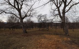 Casă individuală I 4 camere I teren 6000 mp I Cisnădie - Poză 2