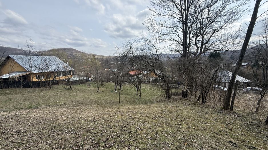 Teren 6040 mp la baza pădurii deschidere 40 ml - Poză 7