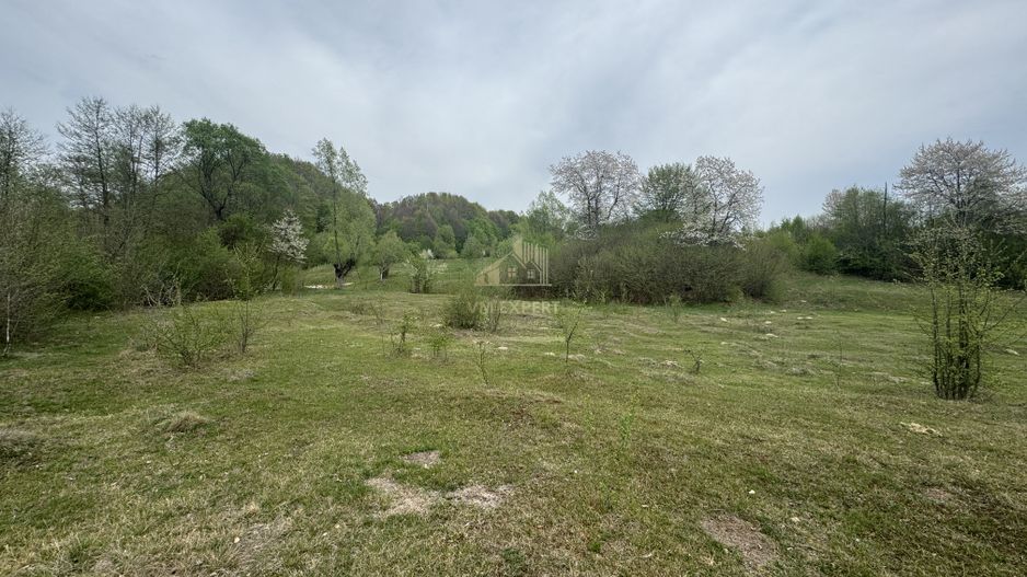 TEREN EXTRAVILAN 40000 MP, ALBESTI DE MUSCEL, CANDESTI - Poză 9