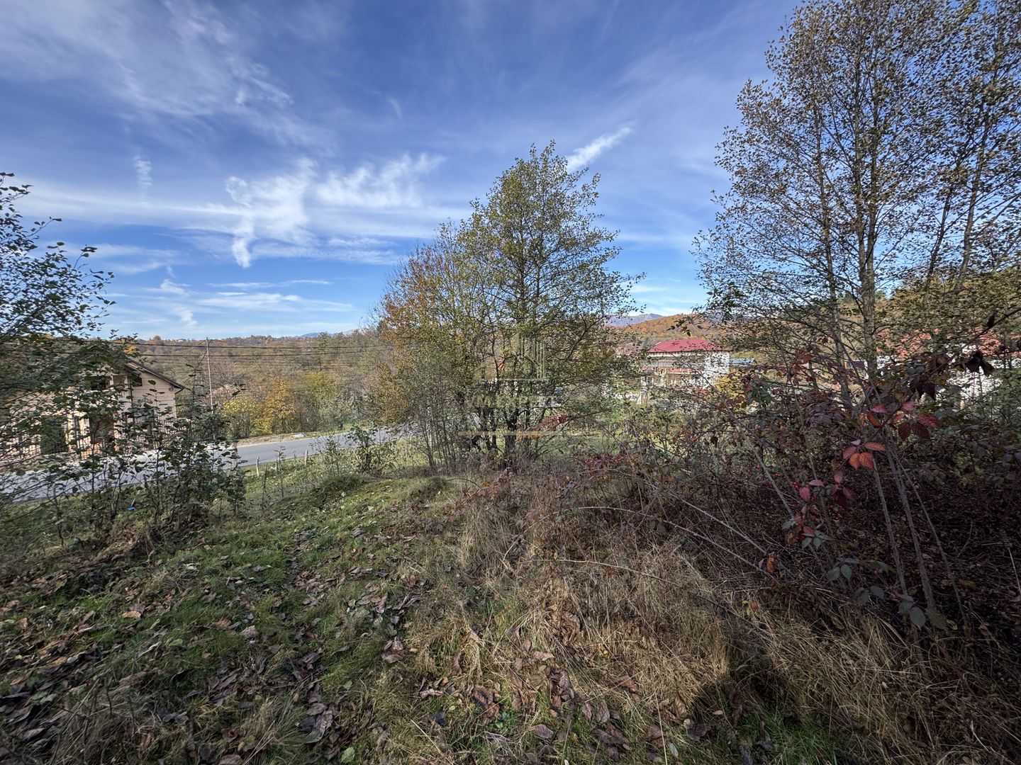 TEREN INTRAVILAN 13167 MP BUGHEA DE SUS ARGES - Poză 13