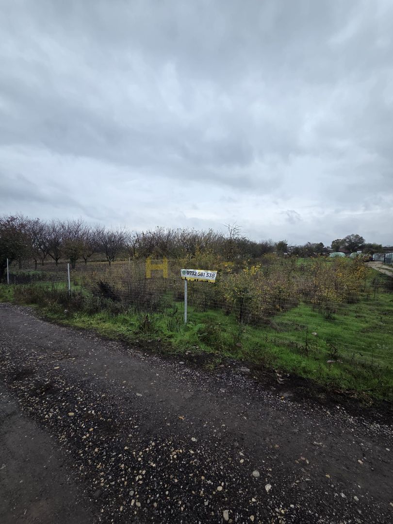 Teren Aleea Viilor Adunatii Copaceni - Poză 4