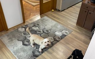 2 CAMERE, DECOMANDAT, 64 MP, ETAJ INTERMEDIAR, POITIERS - 119000 EURO - Poză 3