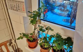 Vanzare apartament Ultracentral, Strada Mare, vedere catre pietonala - Poză 4