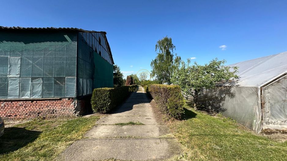 De vanzare Teren 20000MP cu sere/solarii și plantații - Poză 3