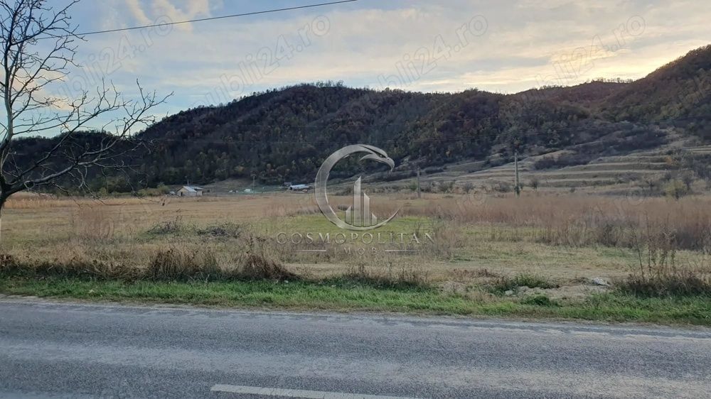 Teren intravilan zona Candesti BZ 10.000mp d=52m la DN10 Pret: 12 mp neg. - Poză 3