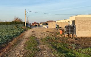 27.200 mp comuna Santandrei - Bihor - Oradea - Poză 6