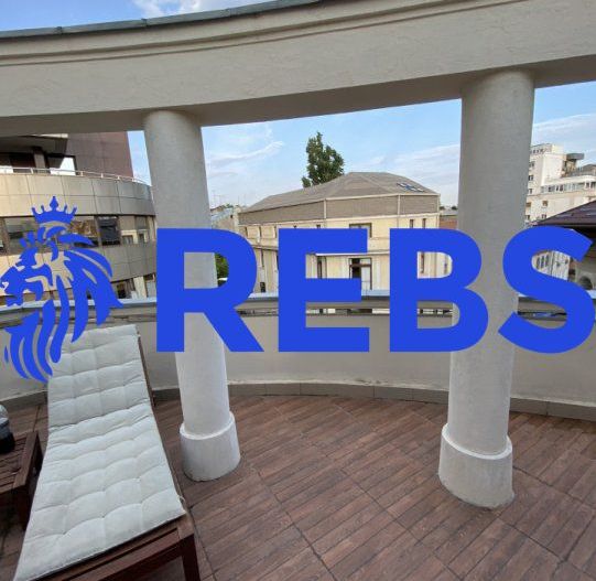 Apartament in vila Piata Victoriei | Caderea Bastiliei - Poză 10