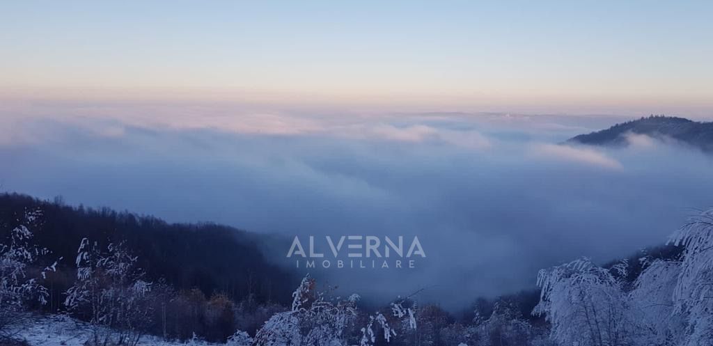 OPORTUNITATE | Teren intravilan | 34.625 mp | Plopi - Valea Ierii - Poză 10