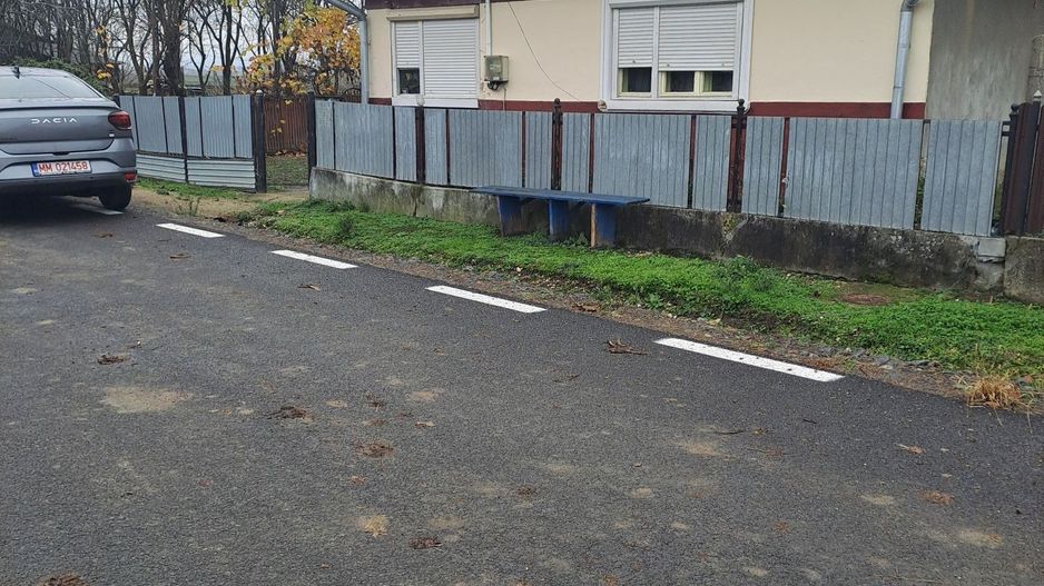 BRASADAS vinde casa în Someseni, comuna Apa - Poză 1