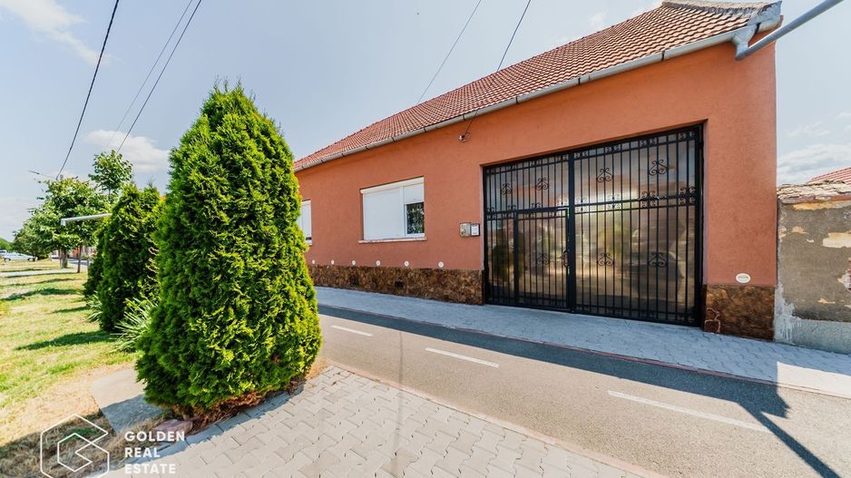 Casa foarte spatioasa cu gradina si gospodarie, Santana - Poză 1