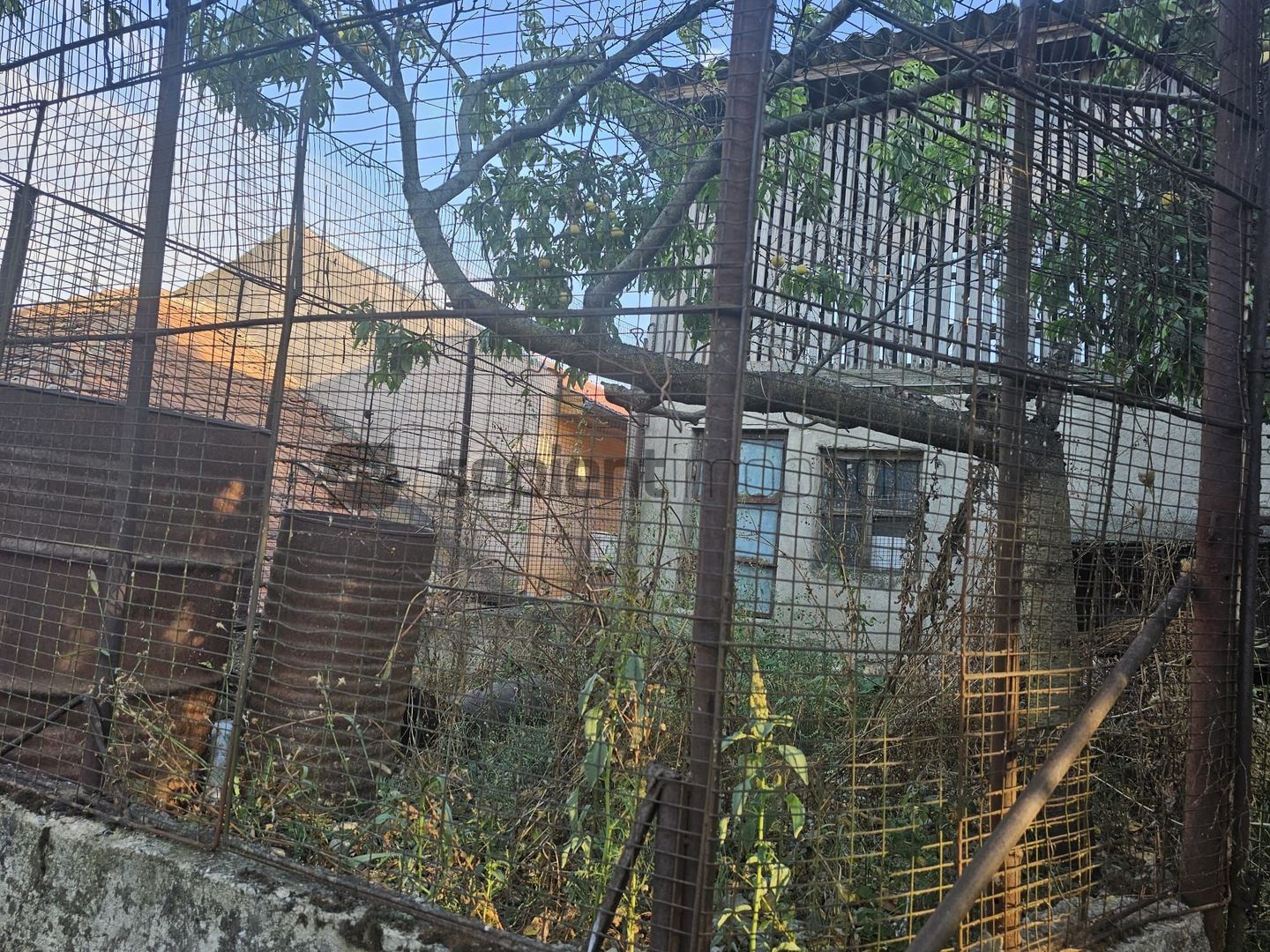 Teren de vanzare str.Colinelor cu casa demolabila - Poză 8