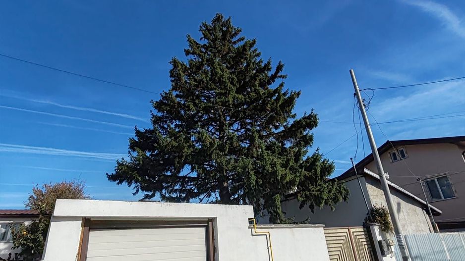 Spațiu birouri & Depozitare în Jilava – Ideal Firme, Magazin on-line - Poză 21