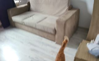 Apartament 3 camere decomandat Trapezului - Poză 6