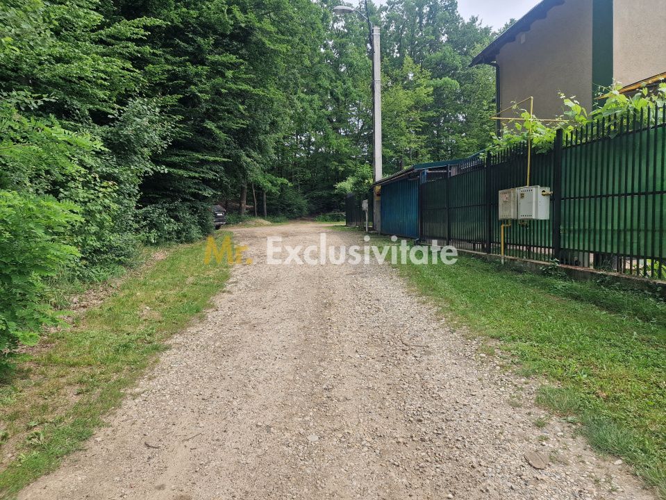 Teren extravilan str Balotesti! - Poză 2