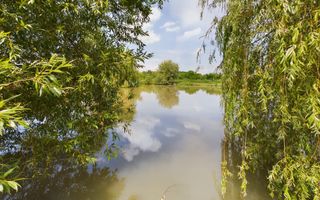 Moară istorică cu teren și luciu de apă în Aldești - Poză 6