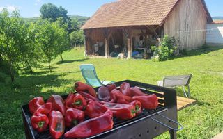 Black Friday Casa 2 corpuri individuale| 30 km de Sibiu | Teren 1500 mp - Poză 3