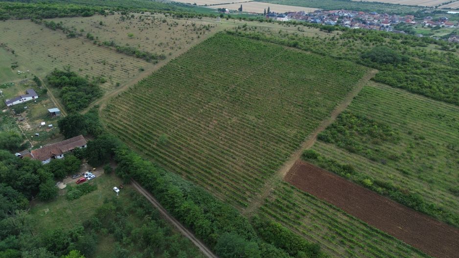 Conac rustic cu 7 camere în Covăsânț și teren 9 ha - Poză 11