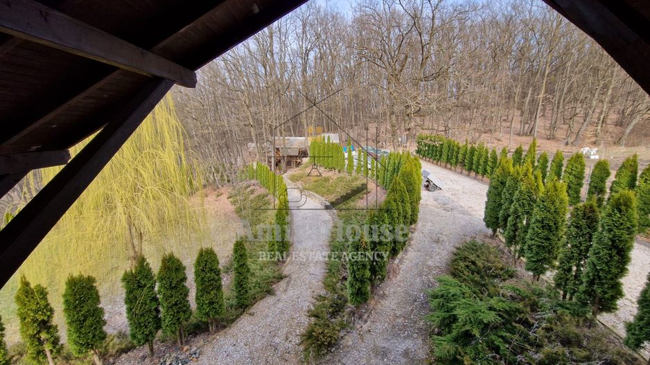 Casa din lemn D+P+M de 400 mp utili si teren 3.000 mp zona Faget - Poză 4