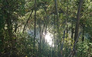 Terenuri intravilane de vânzare| Ciolpani |Acces rapid DN1 & A0 - Poză 7