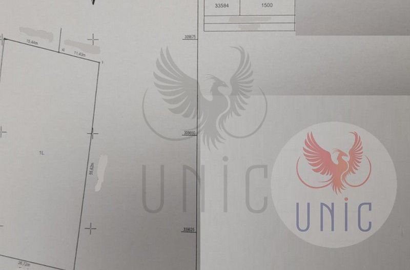 Teren 1500 mp, Comuna Carcea - Schiță 1