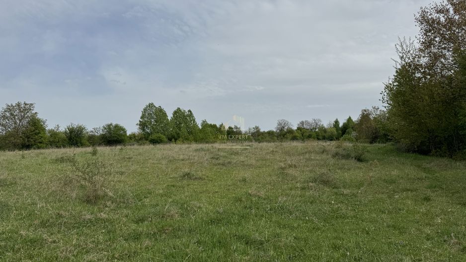 TEREN INTRAVILAN, 7472 MP, VALEA MARE PRAVAT, ARGES - Poză 14