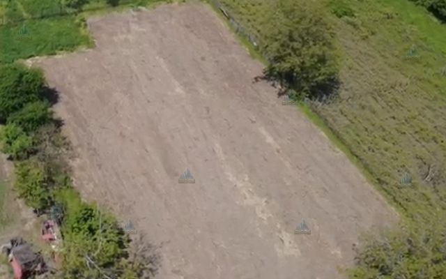 Teren de vanzare in comuna Daia,jud Giurgiu - Poză 3
