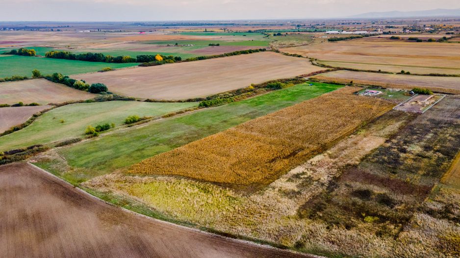 Teren arabil pe Strada Câmpurilor - Poză 8