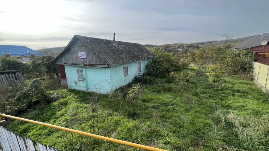 Teren pentru Constructii 32 Ari in Molesti - Poză 5
