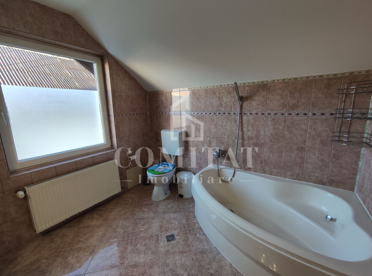 Spatiu comercial || 240 mp || Piata Cipariu - Poză 17