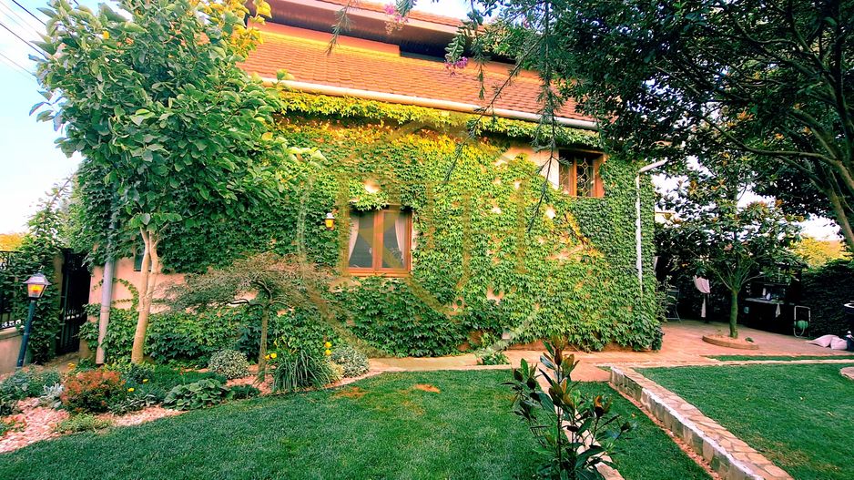 Casa deosebita, 4 camere, curte amenajata, Giroc, str Apicultorilor. - Poză 2