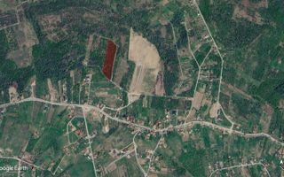 Sapient | Teren intravilan în Săldăbagiu de Munte 4.316 mp - Poză 6