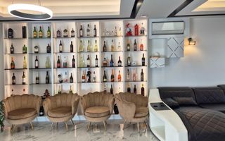 Duplex Parter Mosnita Noua - LUX - Asfalt - Poză 2