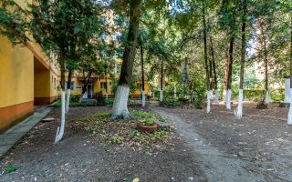 Apartament 3 camere, etaj 1, zonă verde și retrasă Poetului, Vlaicu - Poză 1