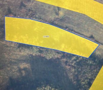 Teren intravilan | 6,259 mp | Colonia Bundus - Poză 3