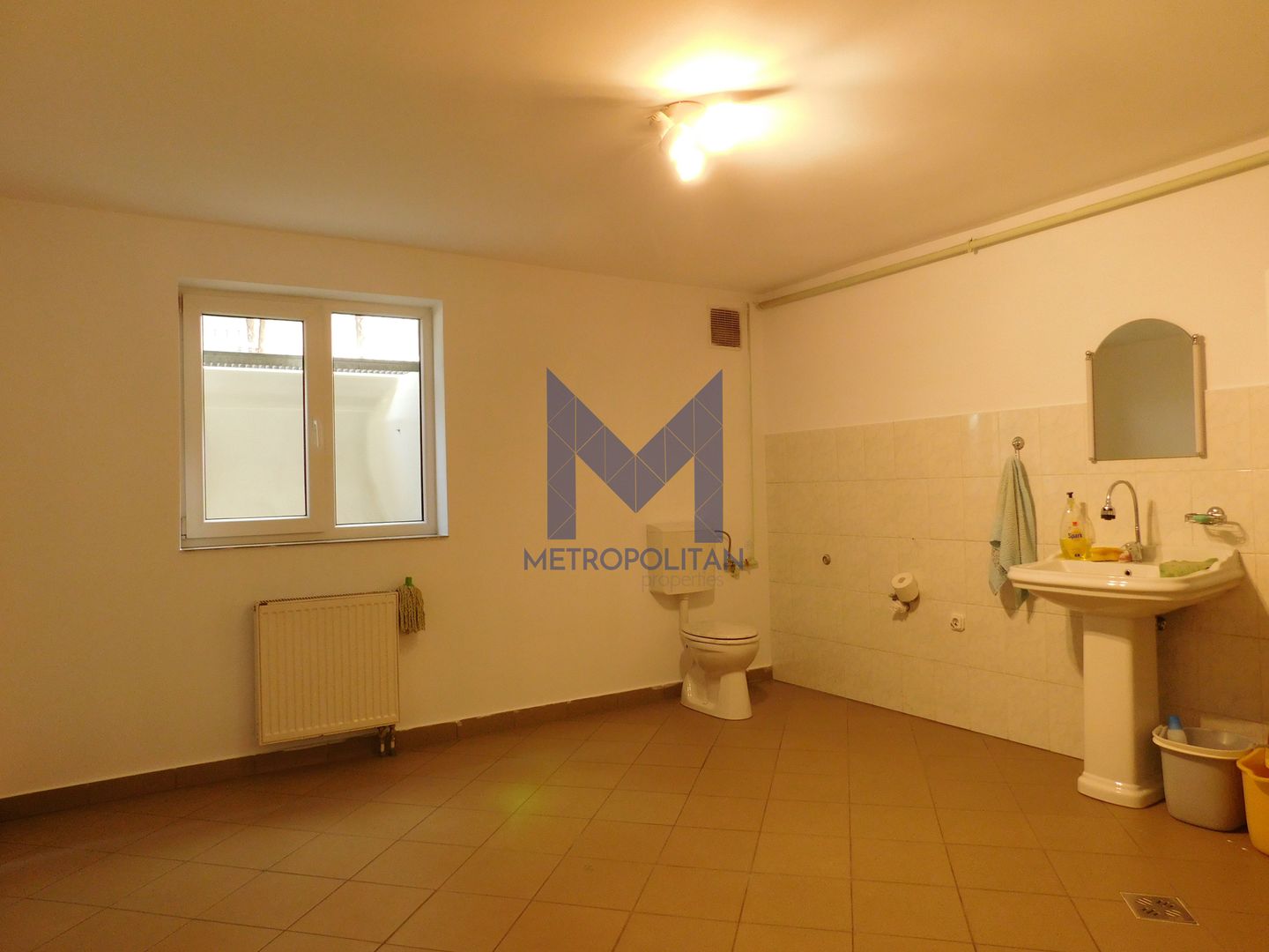 Vilă spectaculoasă de închiriat, parcare 10 locuri, Grădina Botanică - Poză 21