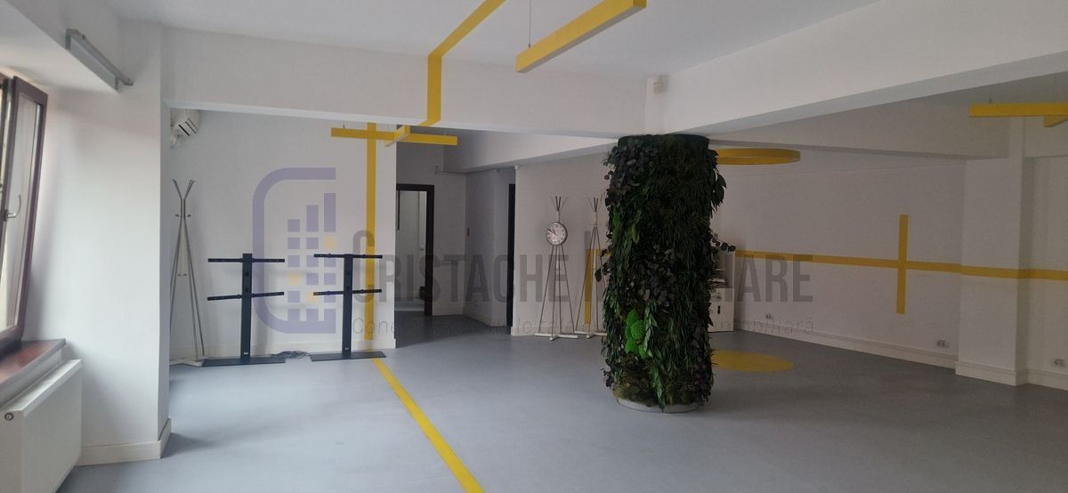 Vila P+2, suprafata 380 mp, Principatele Unite, Piata Unirii - Poză 8