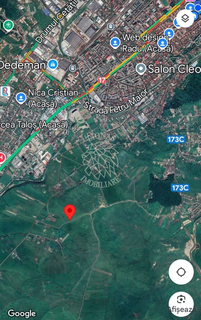 Teren 130.000 mp (13 ha)-Parcelabil-investitie-Zona Cighir - Poză 3